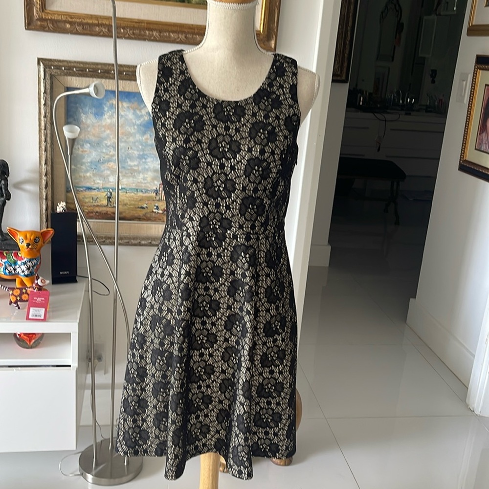 EnFocus Studio Black/Cream Lined Lace Floral Sleeveless Dress